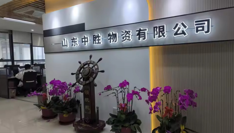 China Shandong Zhongsheng Materials Co., Ltd. Bedrijfsprofiel